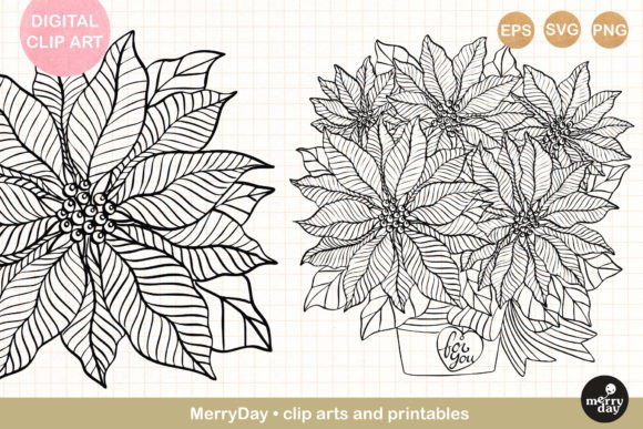 Download 2 Poinsettia Christmas Flower Line Art - Christmas Collection