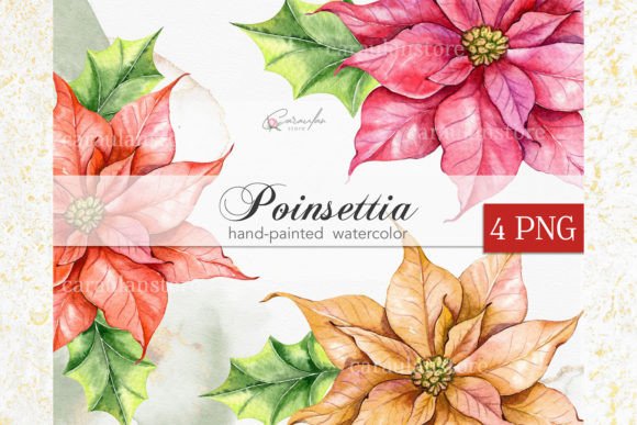 Download Christmas Poinsettia Flower Watercolor - Christmas Collection