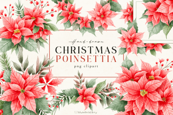Download Watercolor Christmas Poinsettia - Christmas Collection