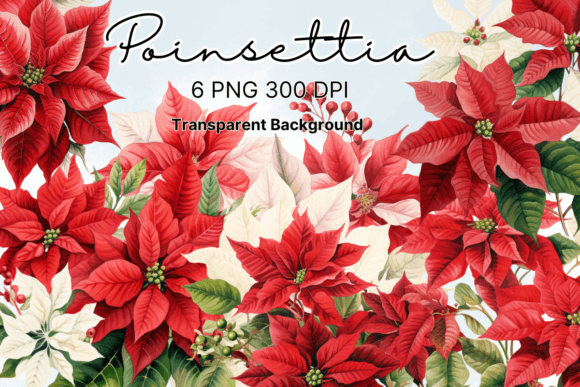 Download Poinsettia Christmas Flowers Clipart - Christmas Collection